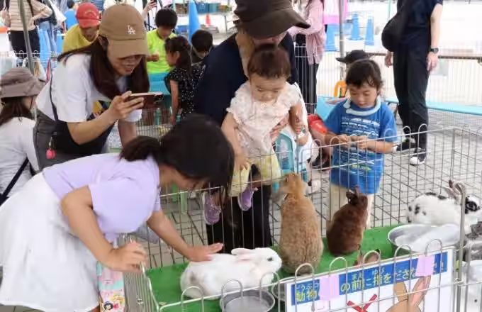 画像5