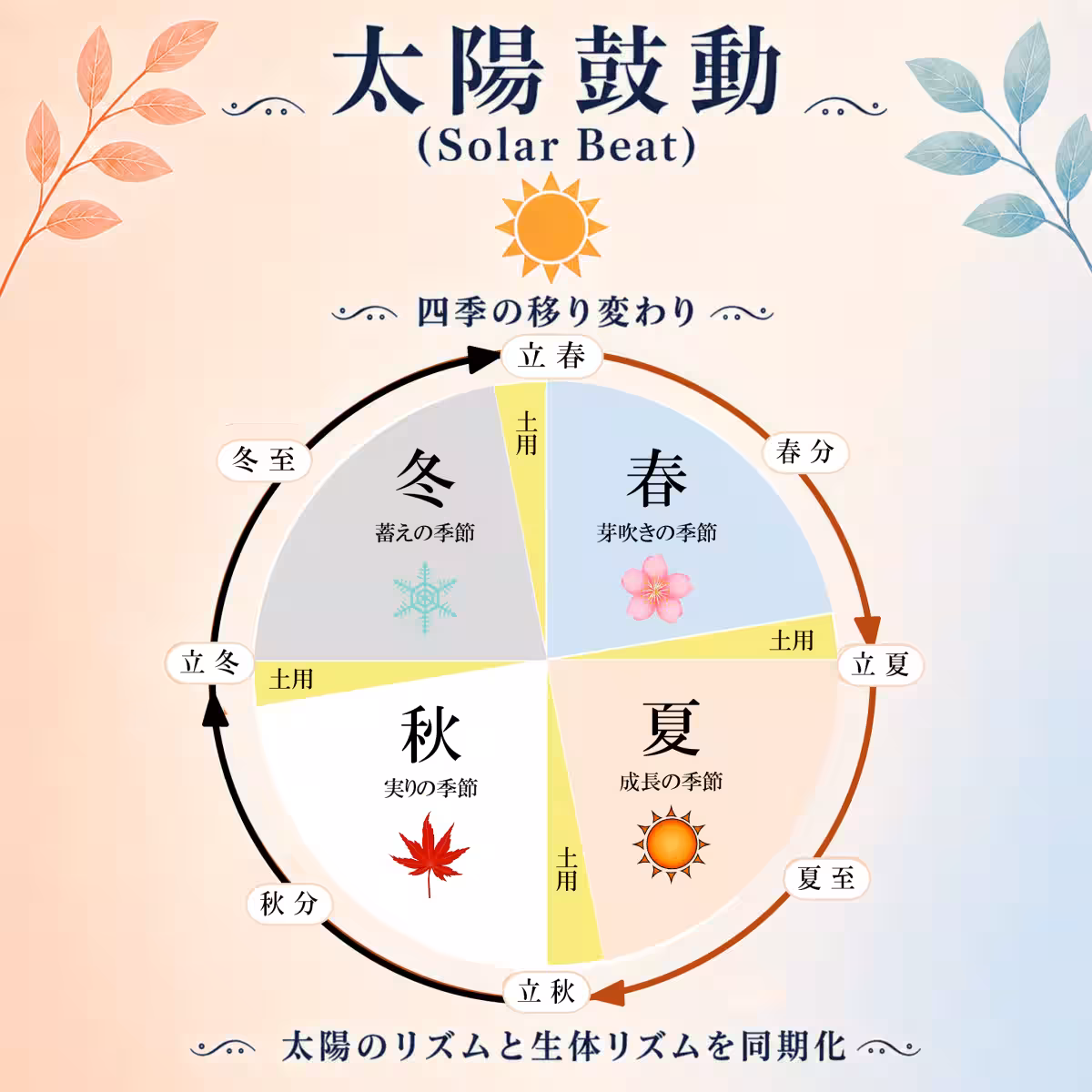 画像11