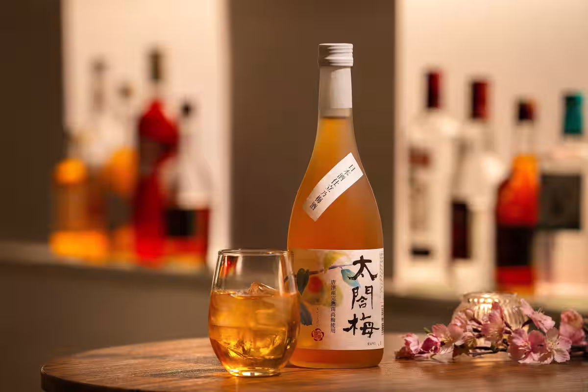 画像15