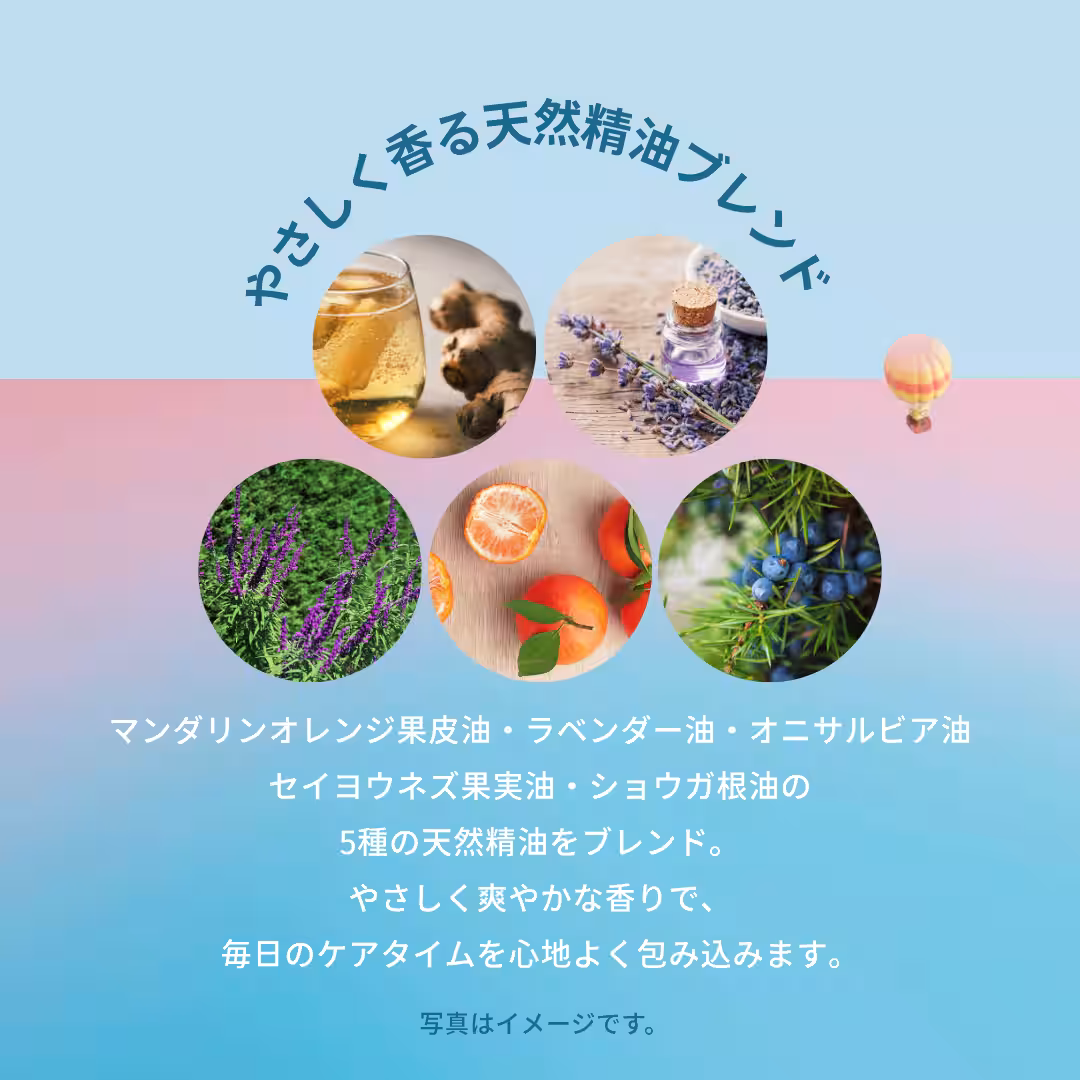 画像12