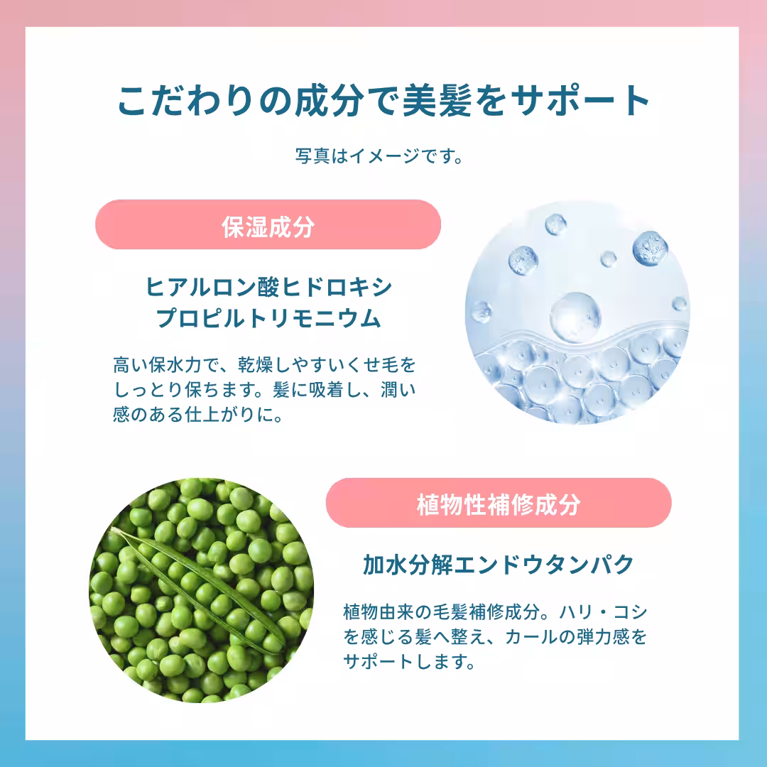 画像14