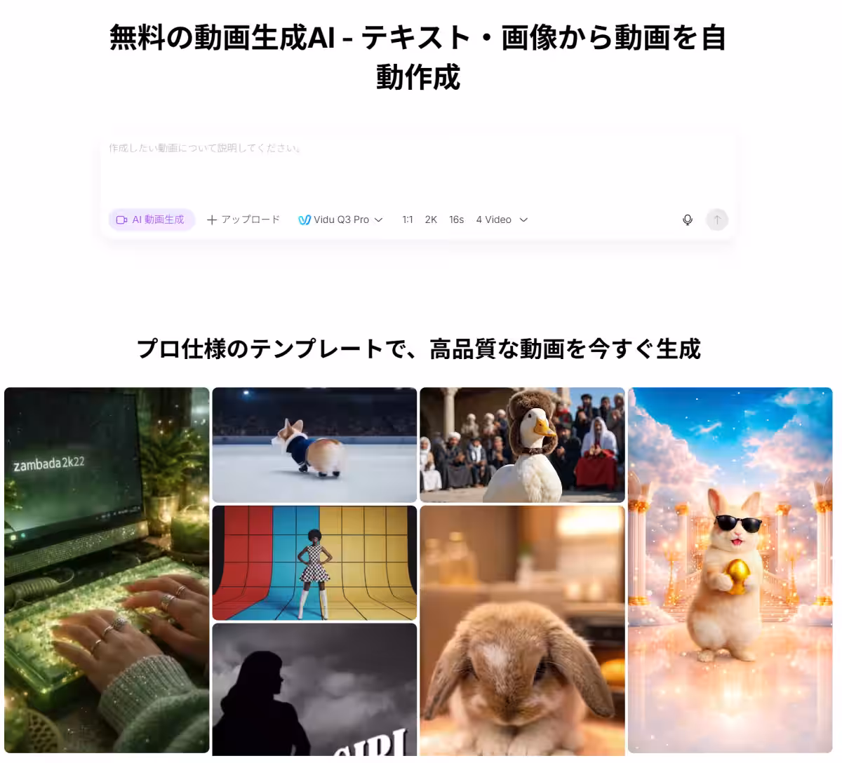 画像11