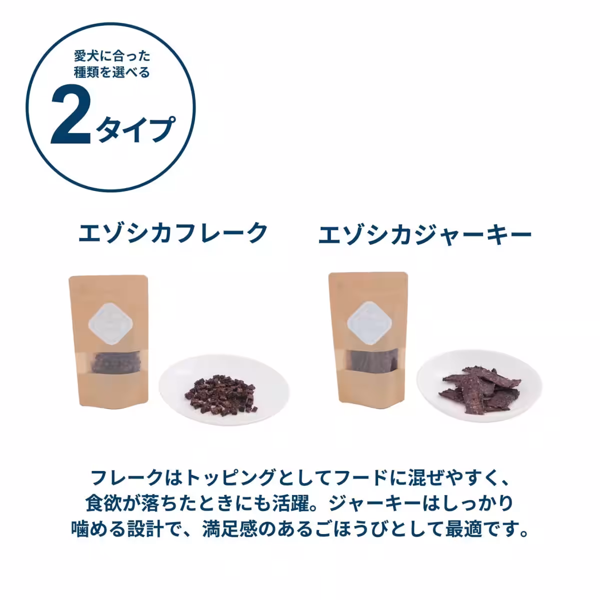 画像16