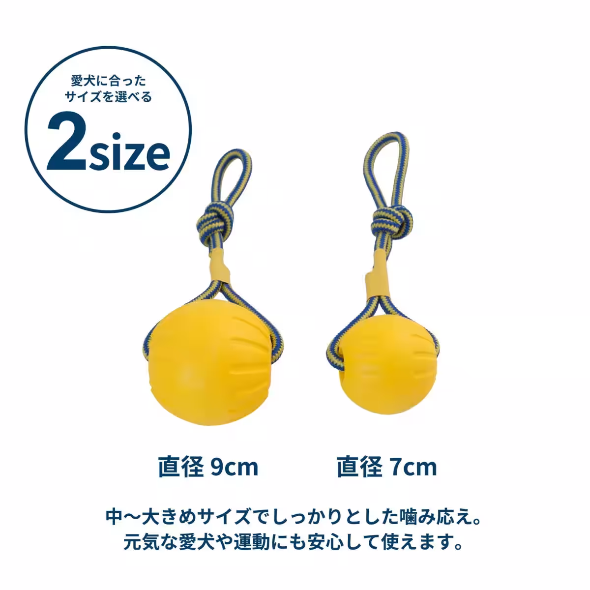 画像9