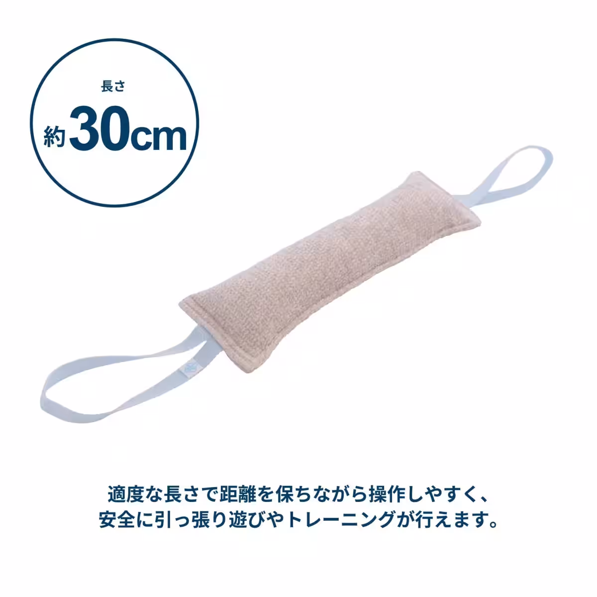 画像11