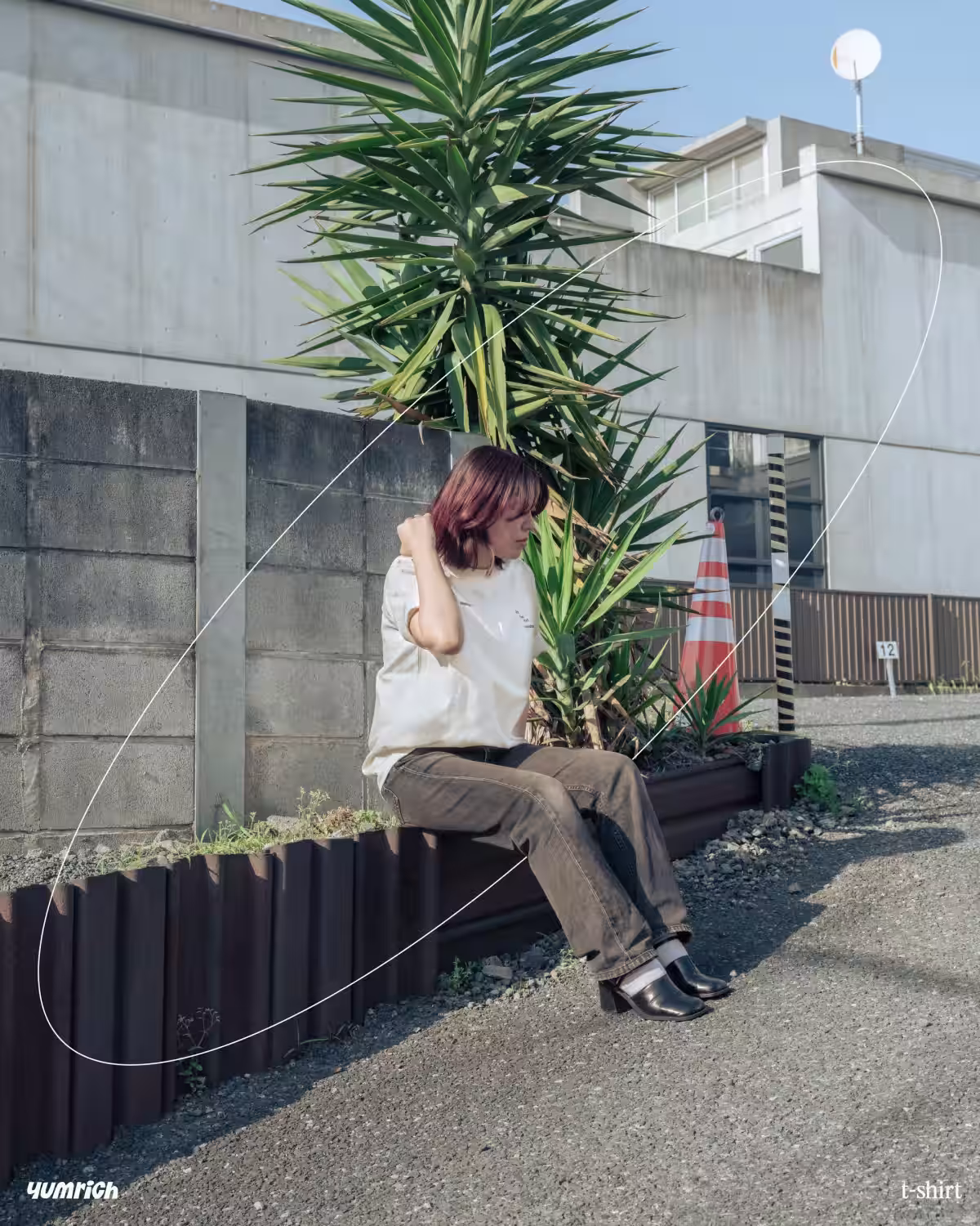 画像5
