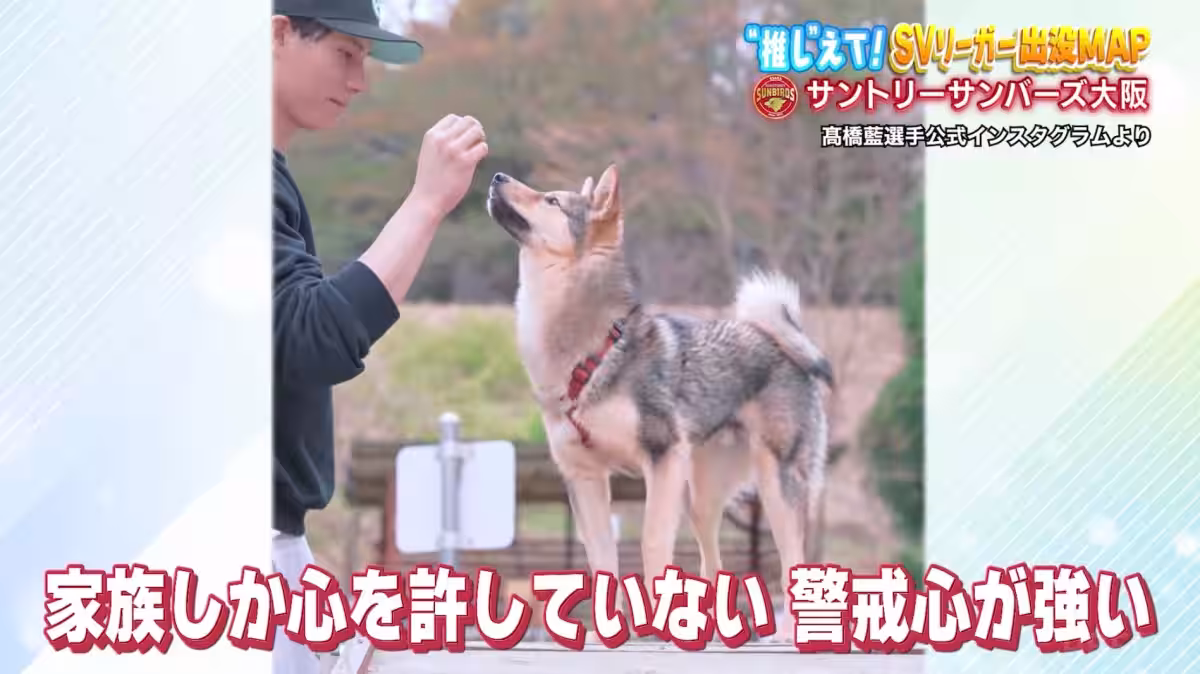 画像7