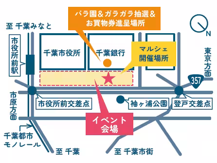 画像16