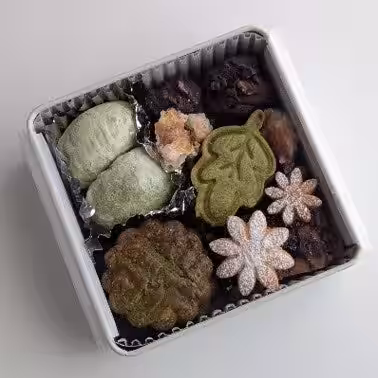 画像13