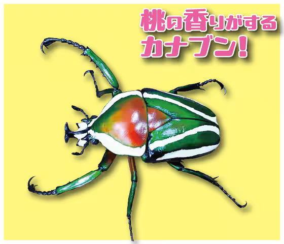 画像4