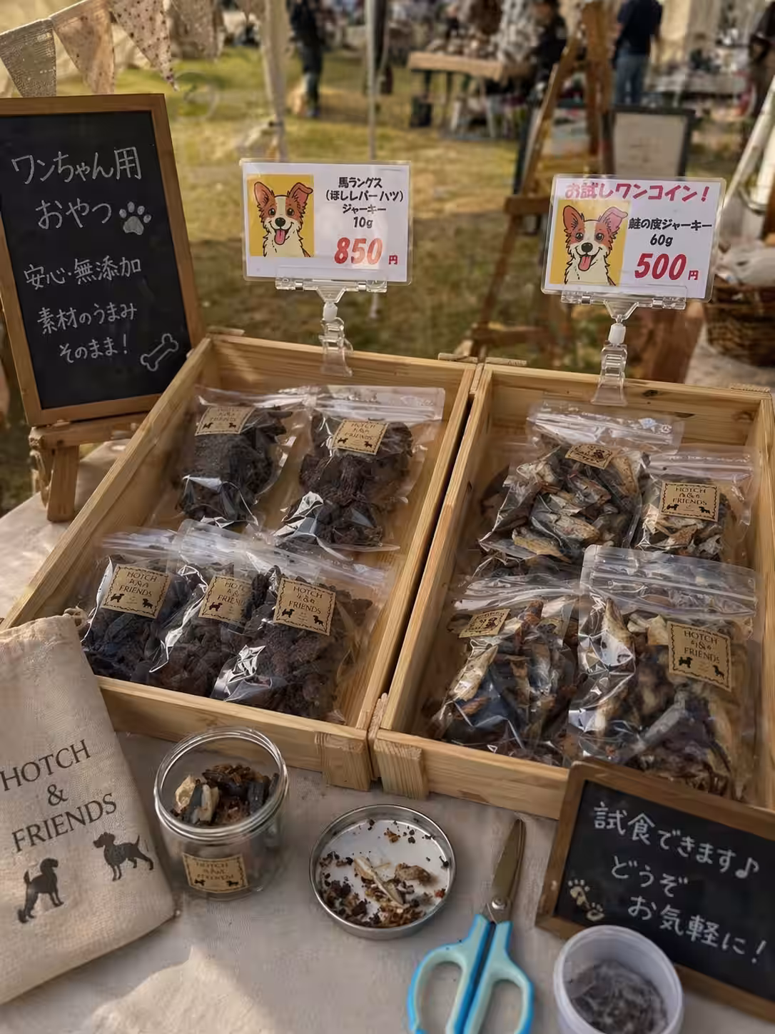 画像6