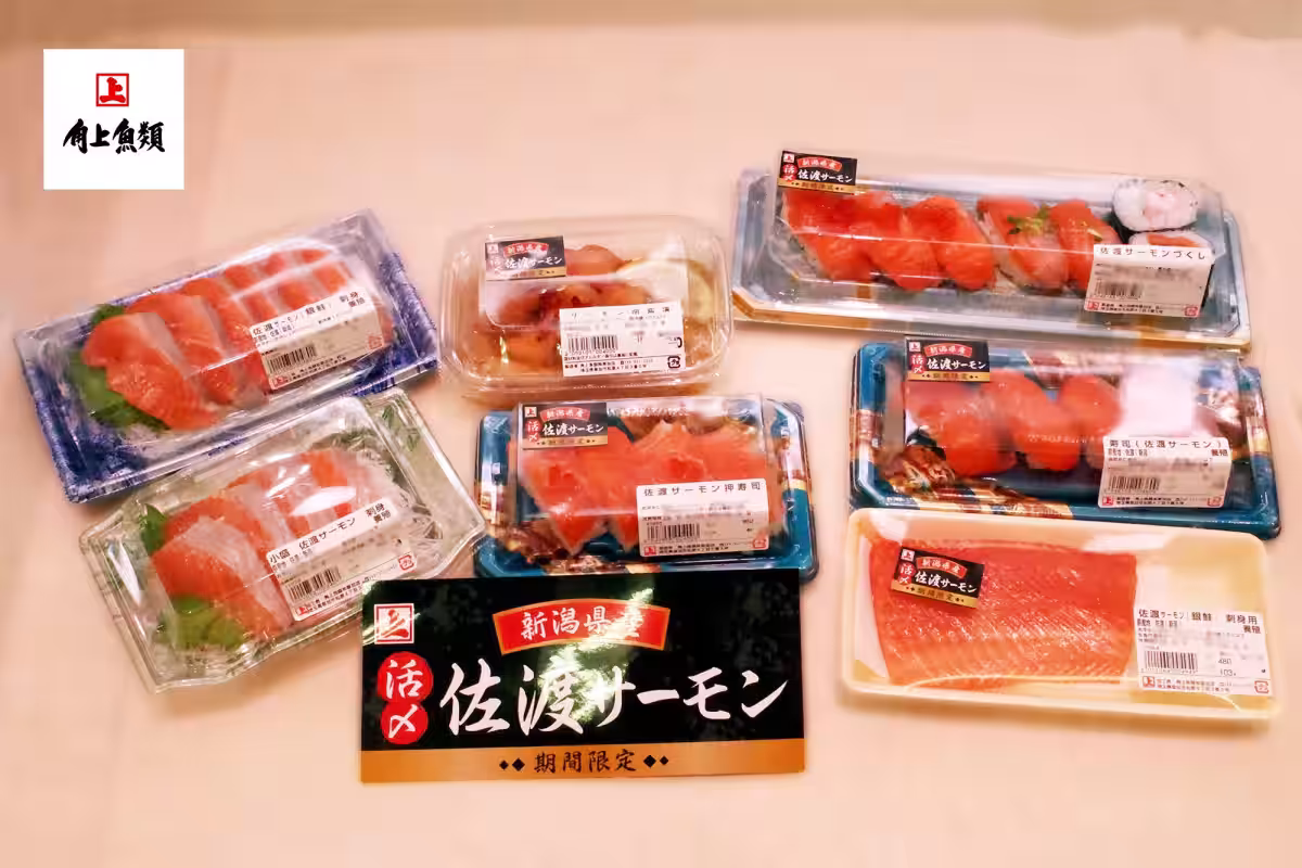 画像9