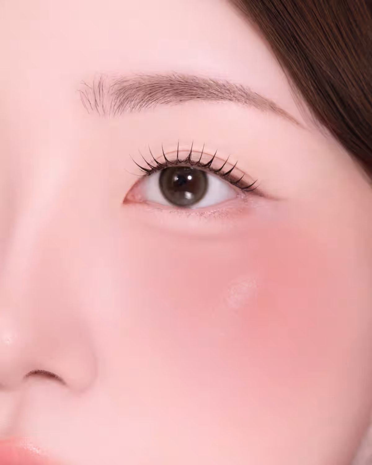 画像14