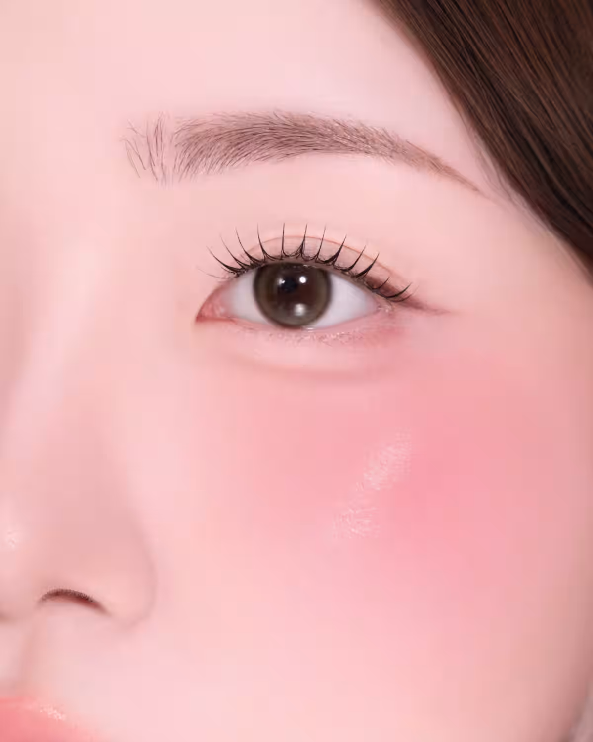 画像12