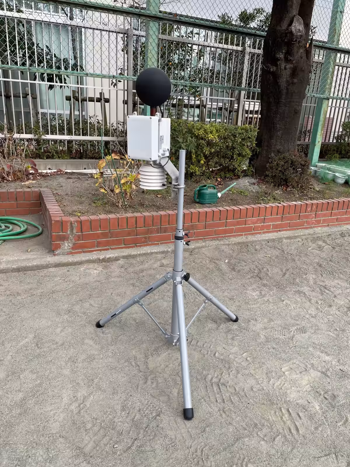 画像3