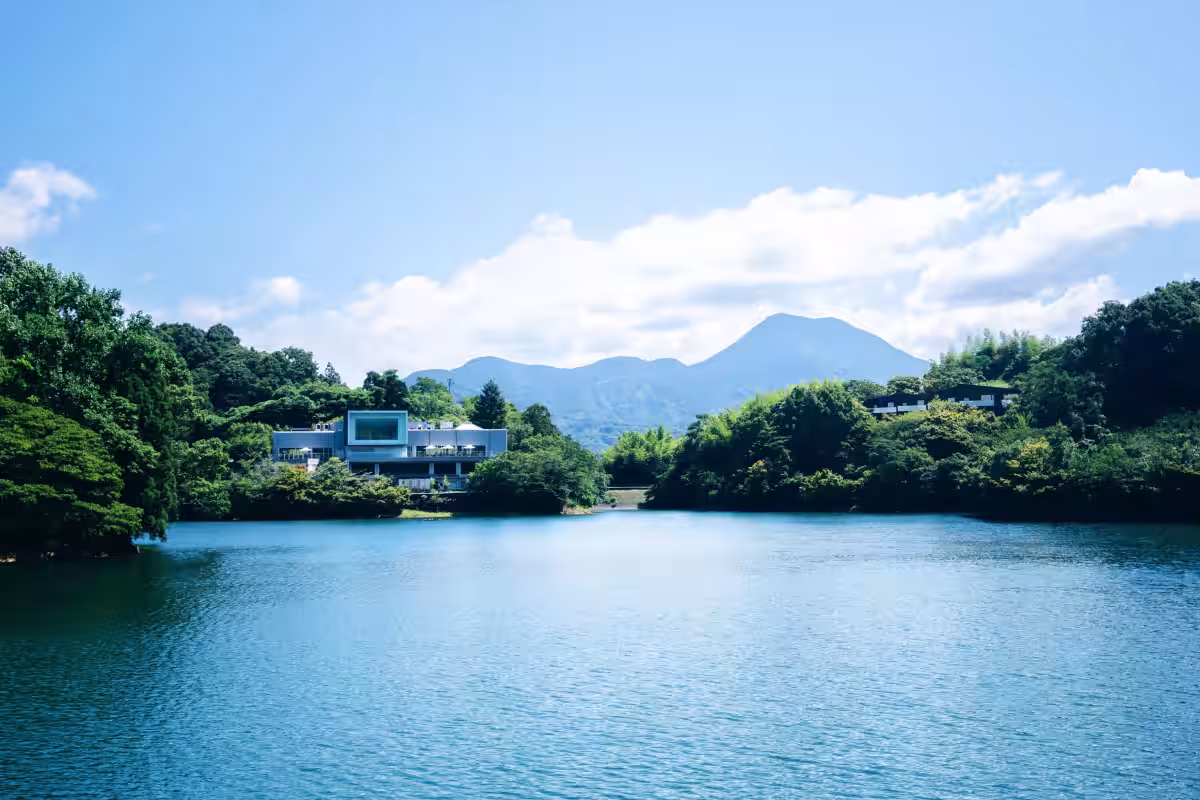 画像8