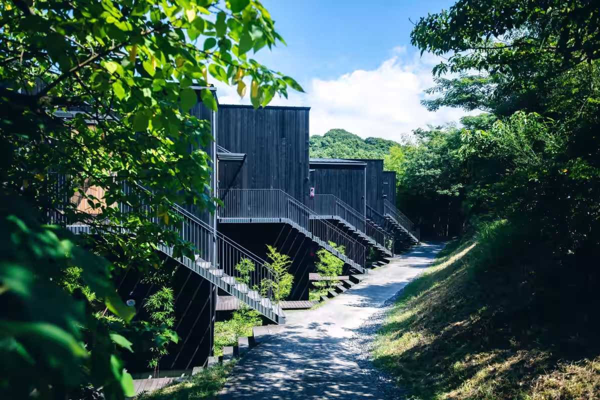 画像12