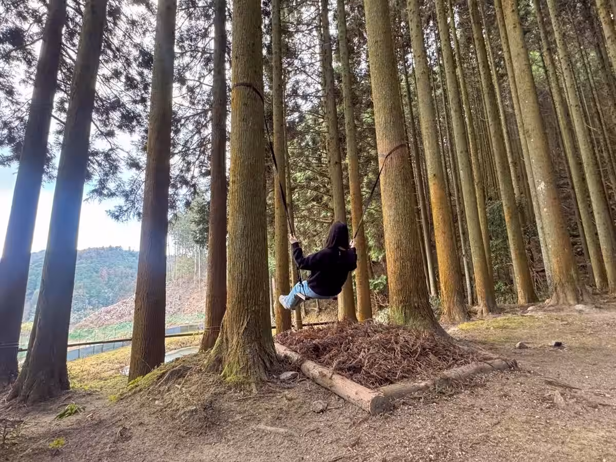 画像5