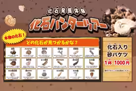 画像12