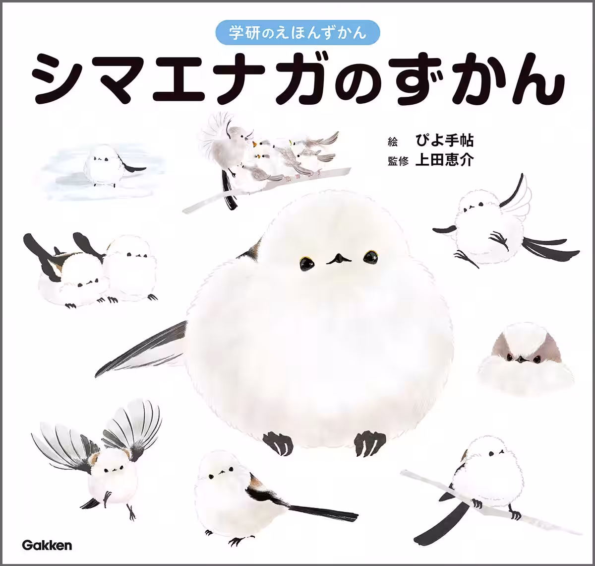画像5