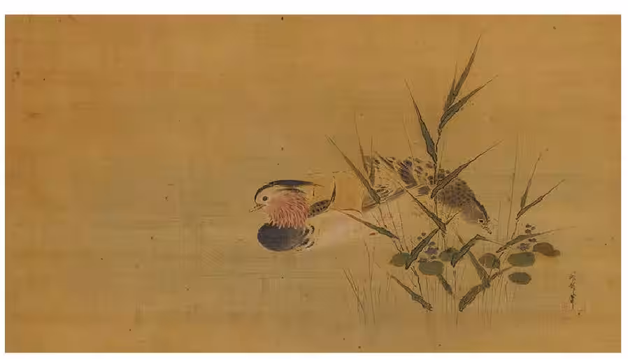 画像6