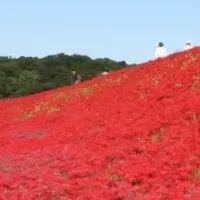 ごんぎつねの風景