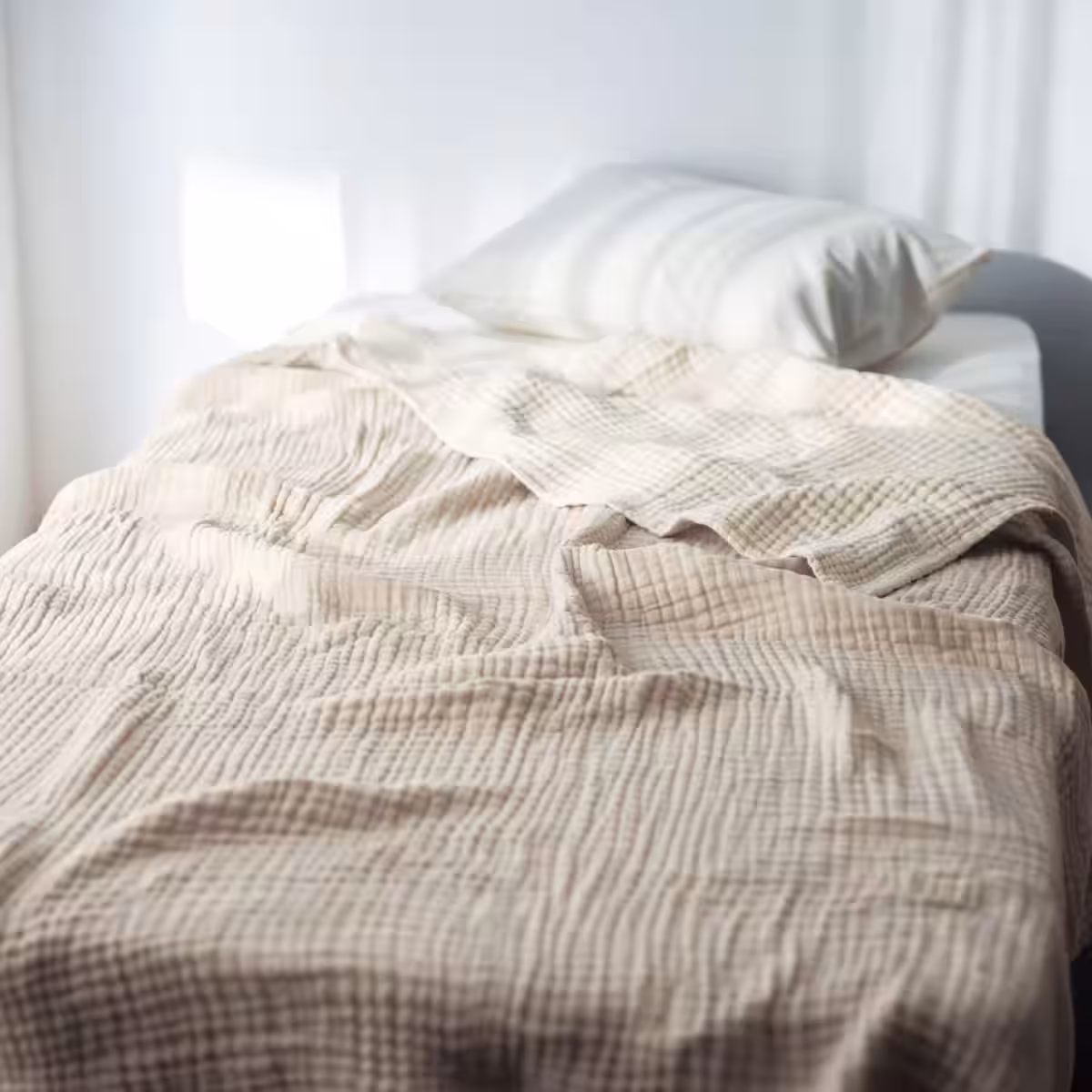 画像18