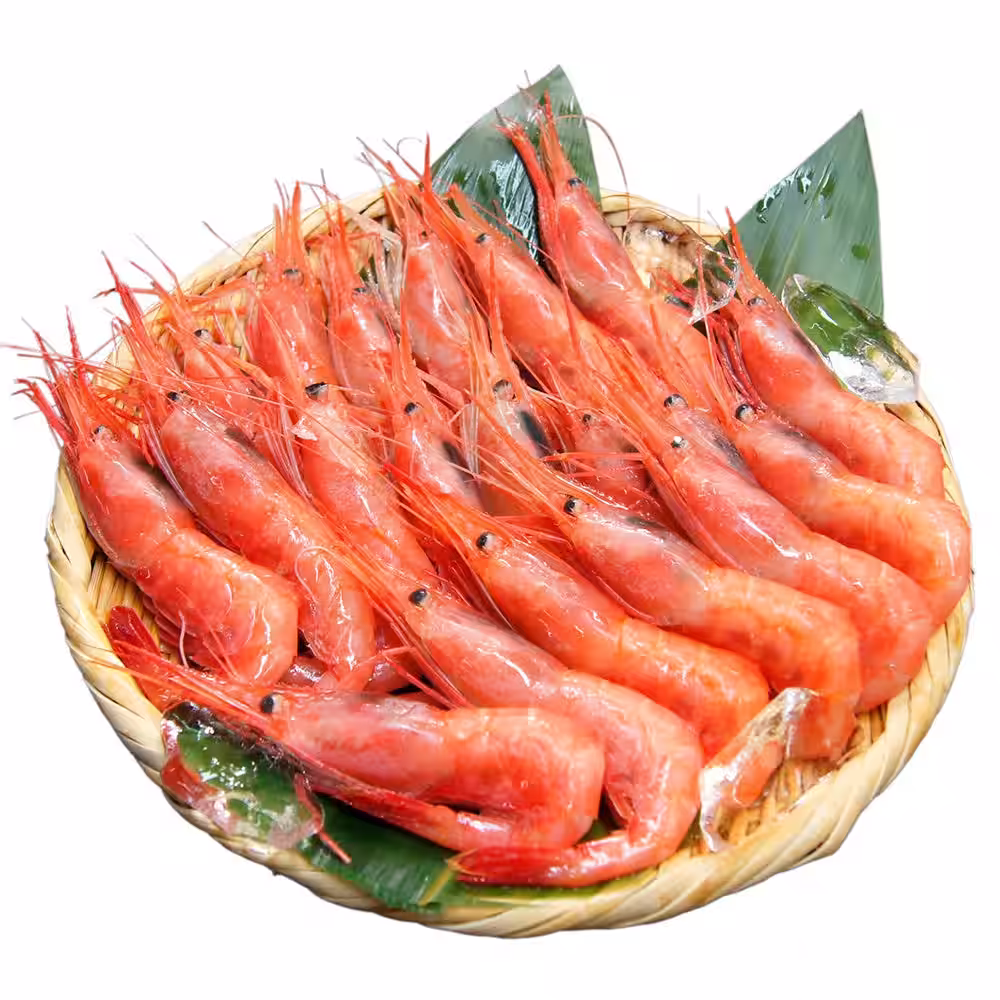 画像7