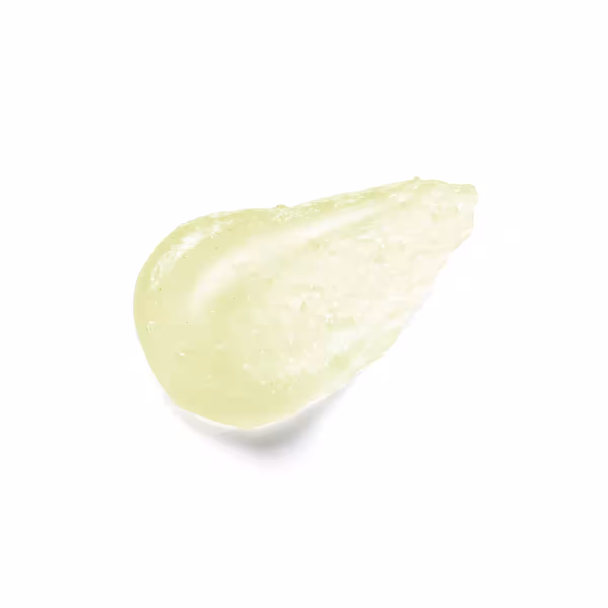 画像15