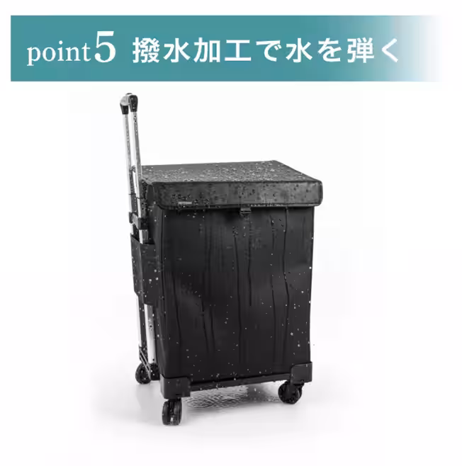 画像7