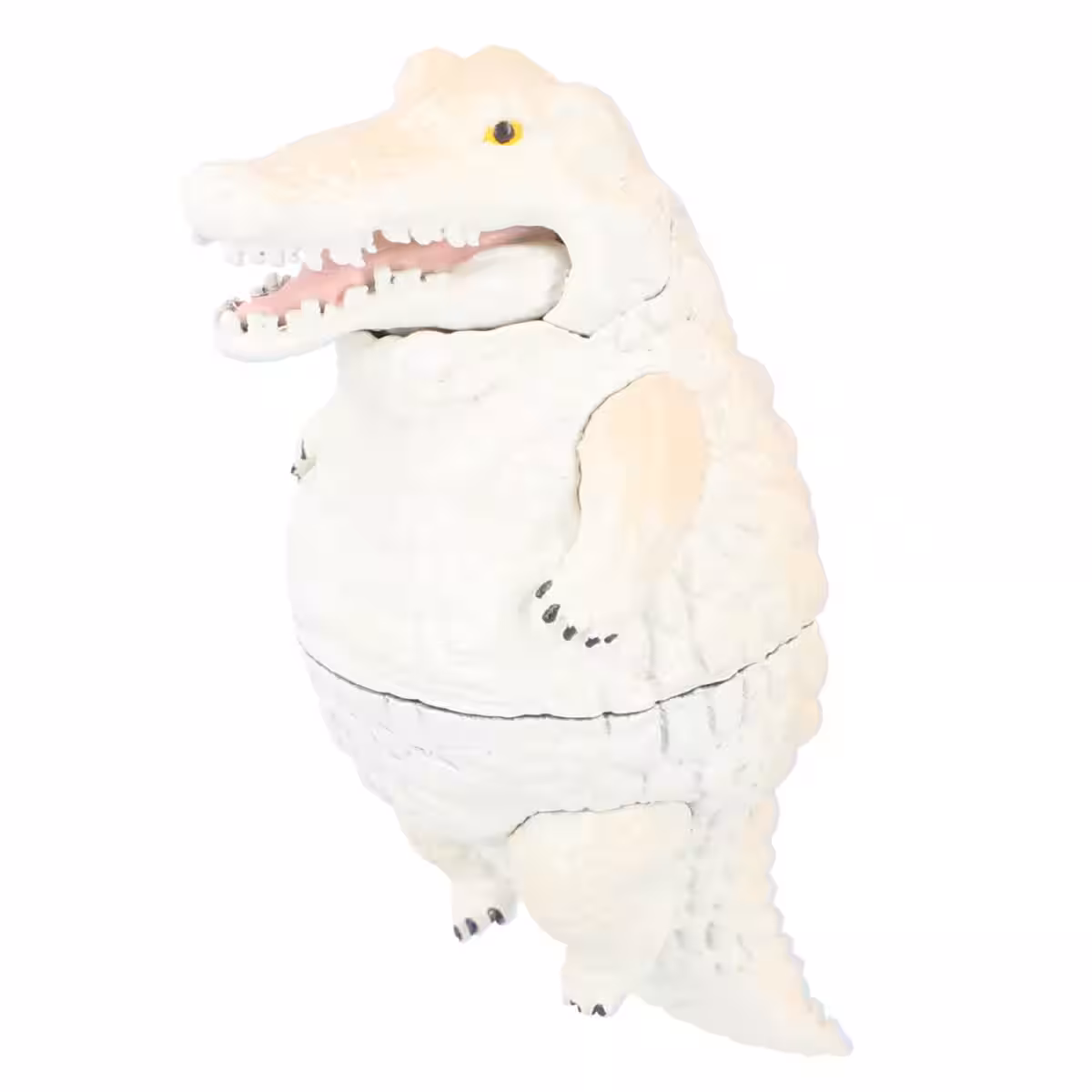 画像7
