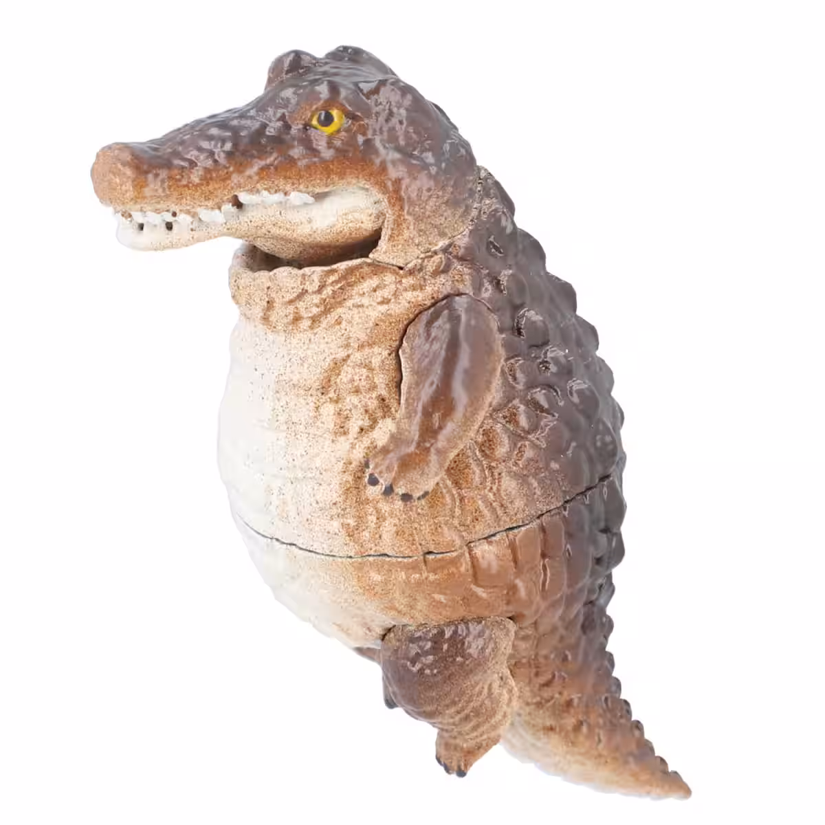 画像8