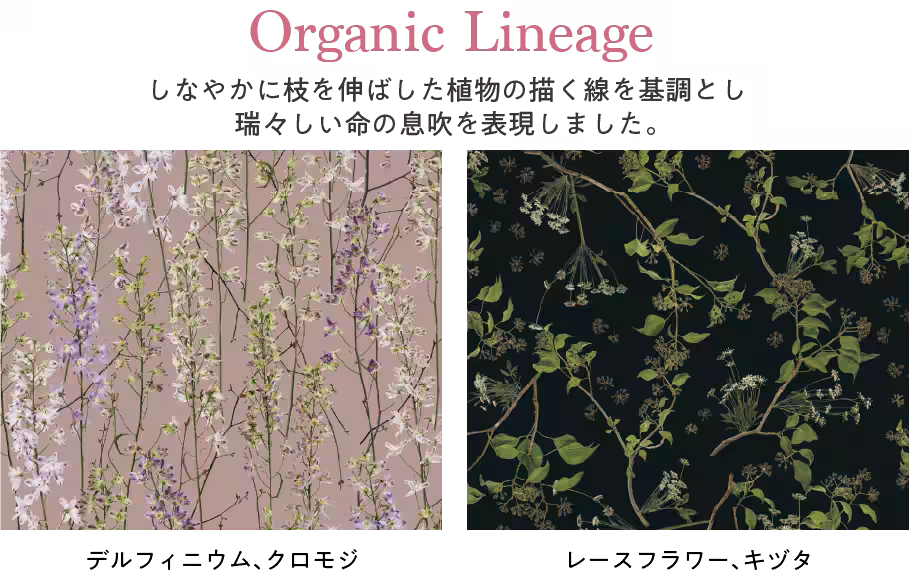 画像11