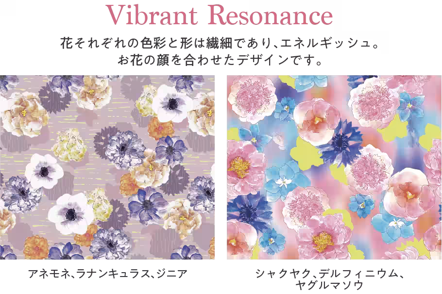 画像14