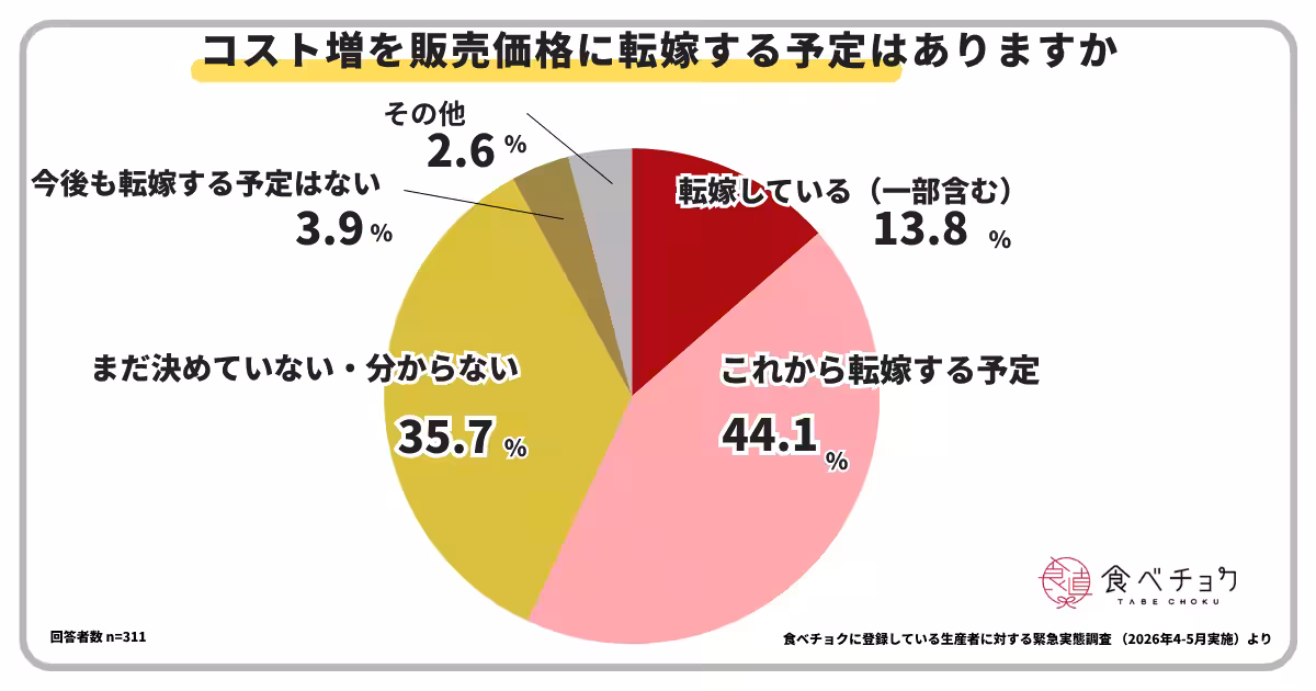 画像13