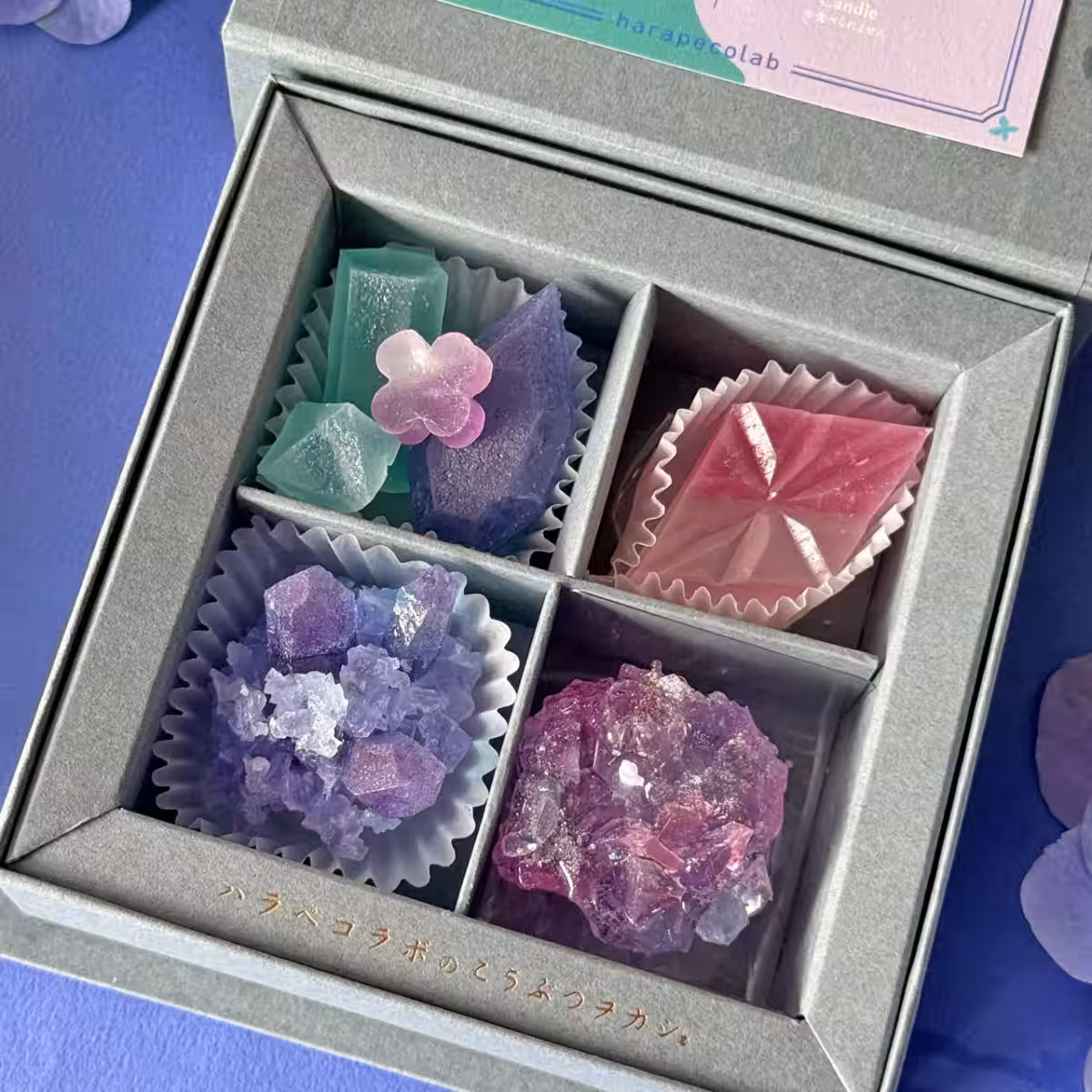 画像5