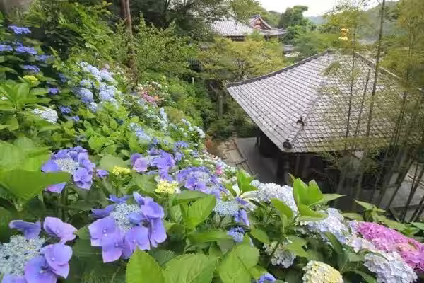 画像8