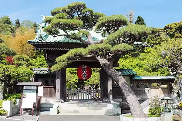 画像9