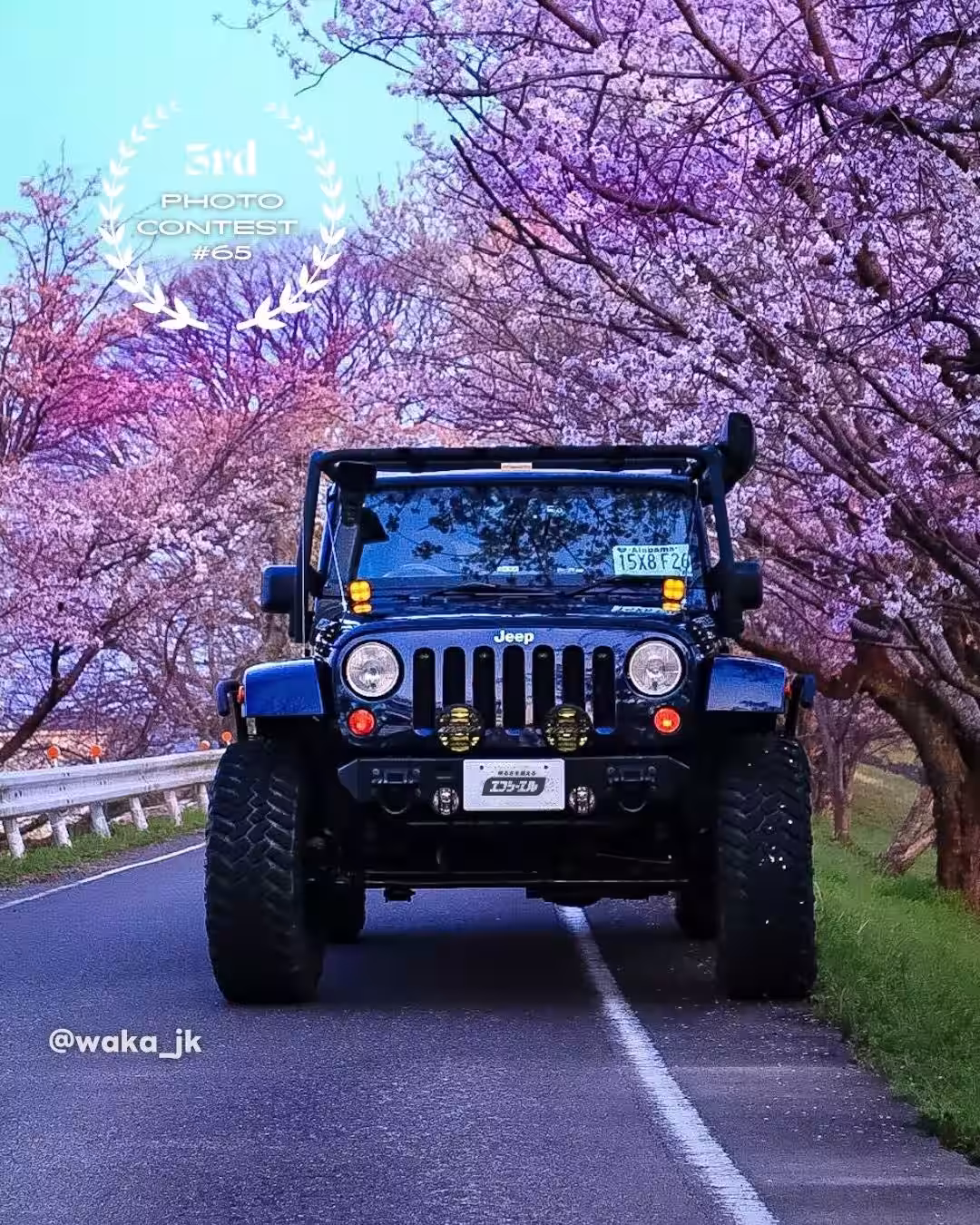 画像5