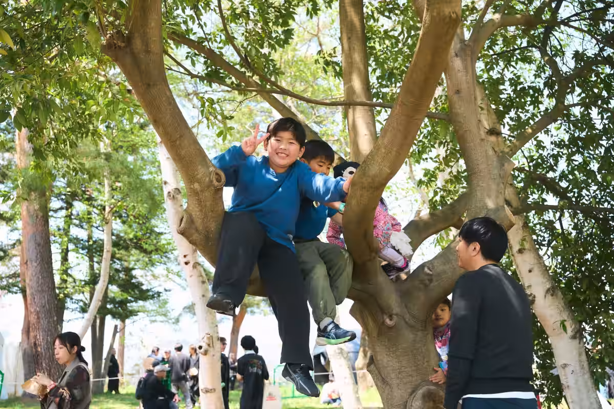 画像13