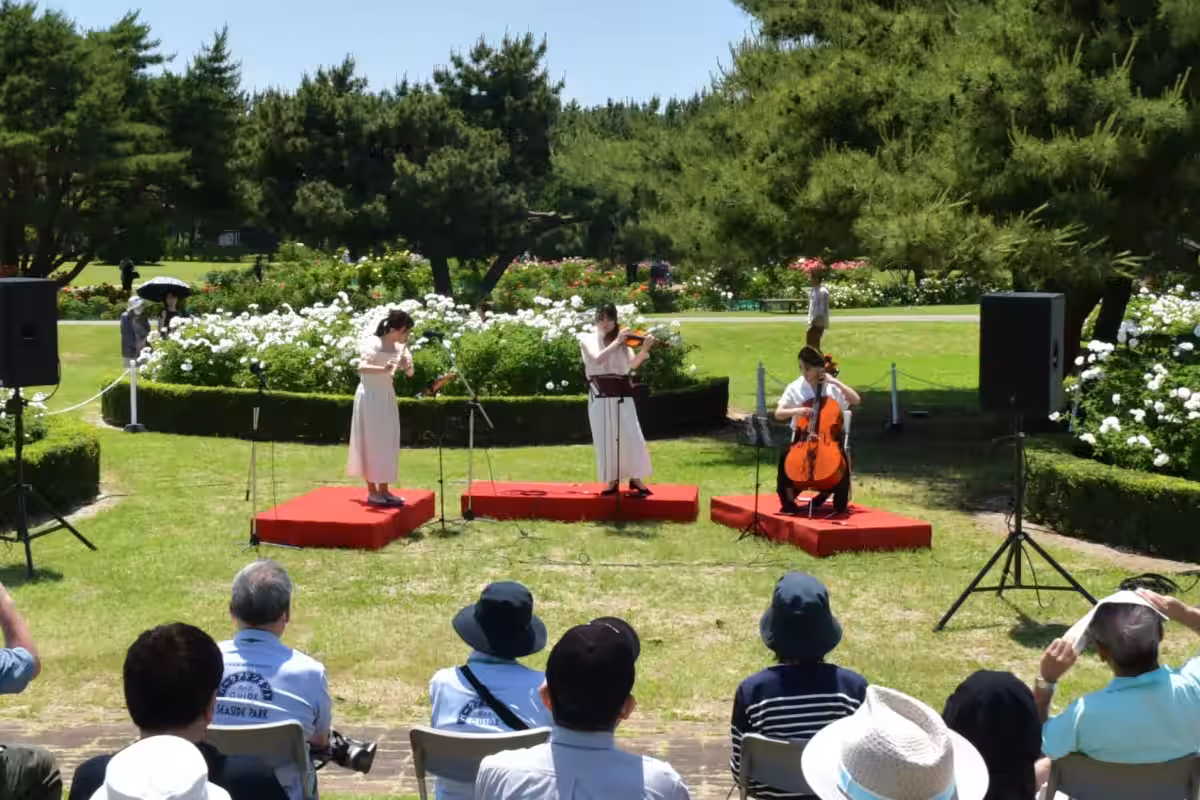 画像5