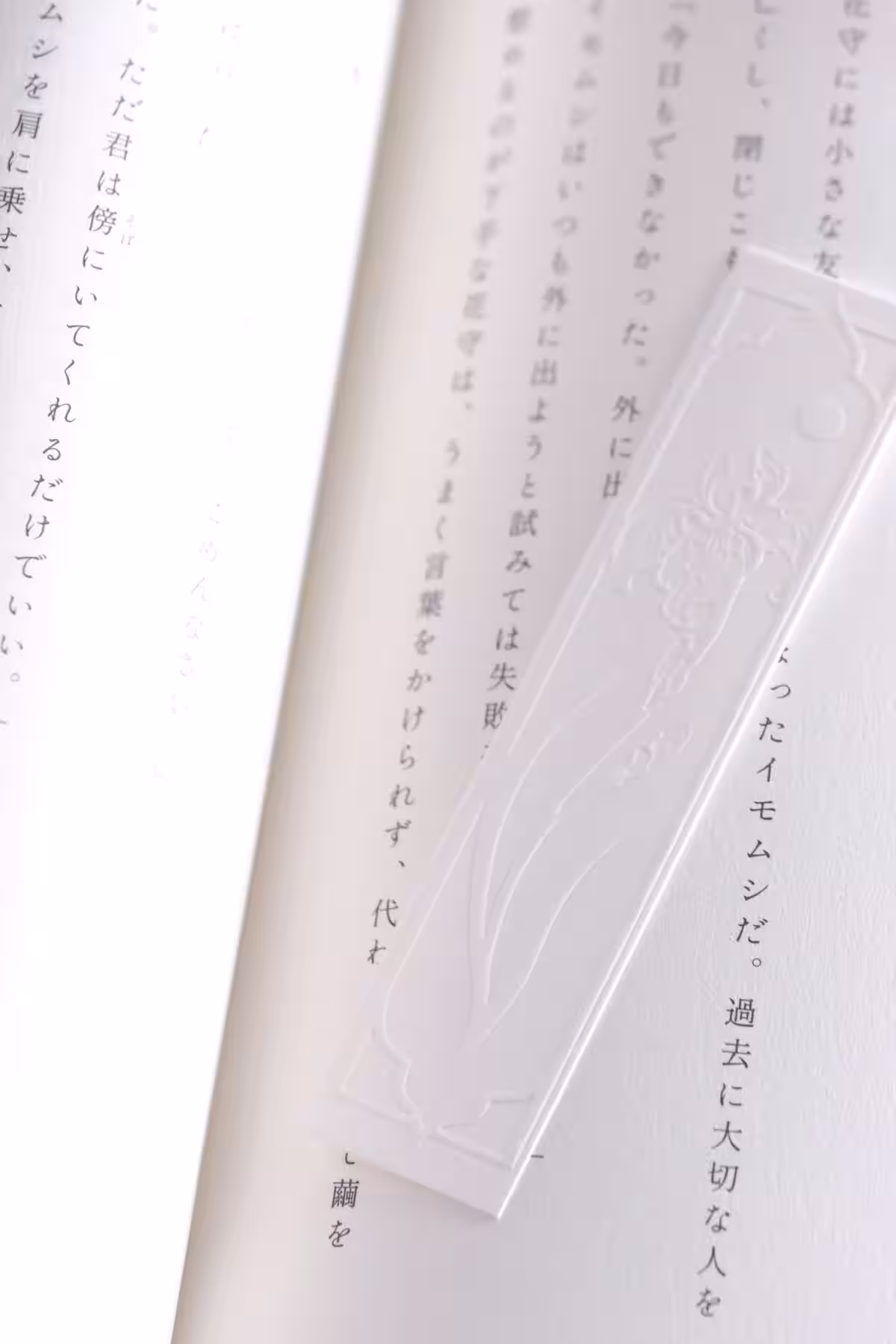 画像15