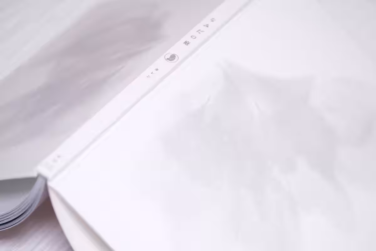 画像14
