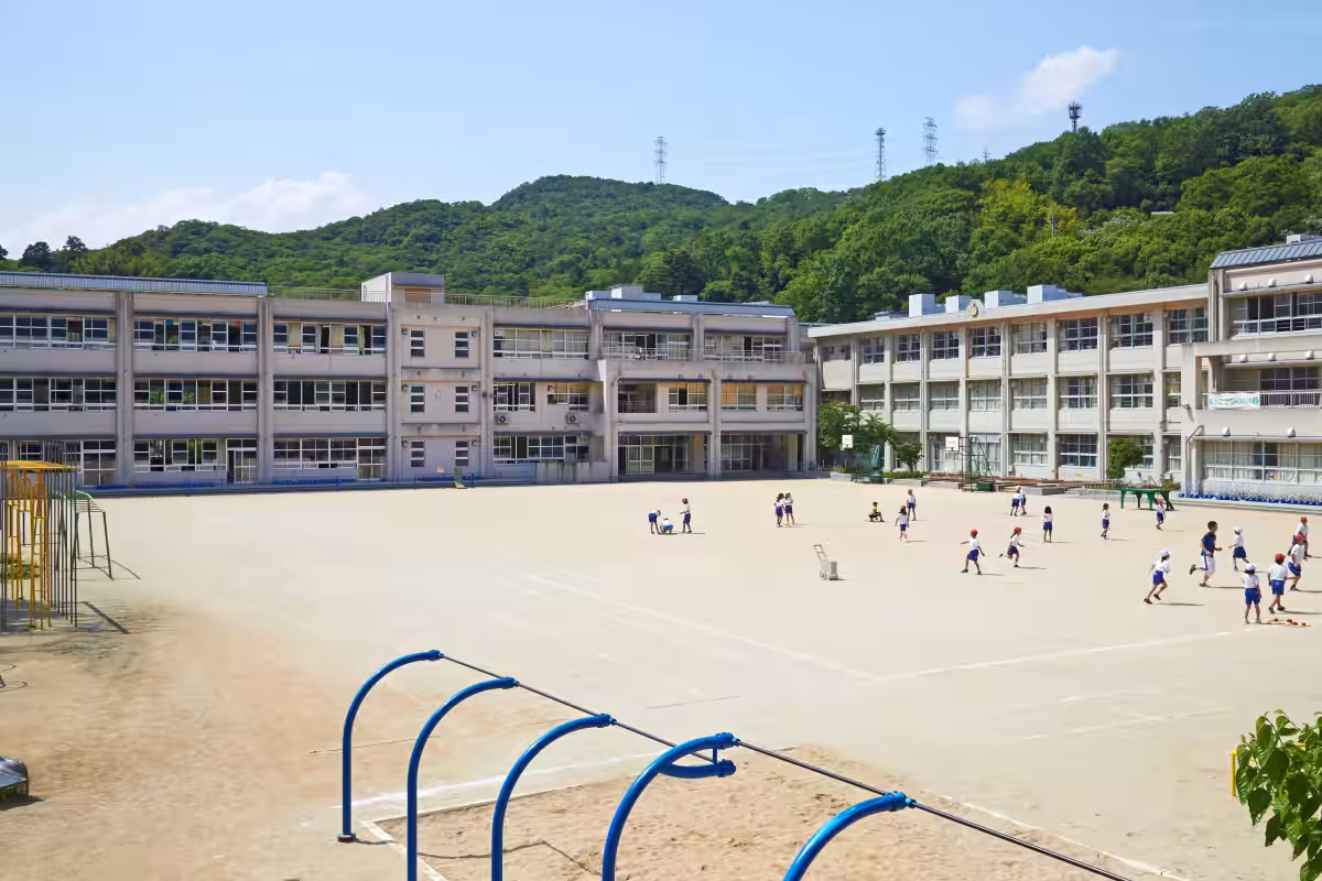 画像6