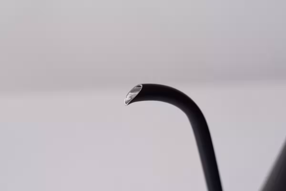 画像16