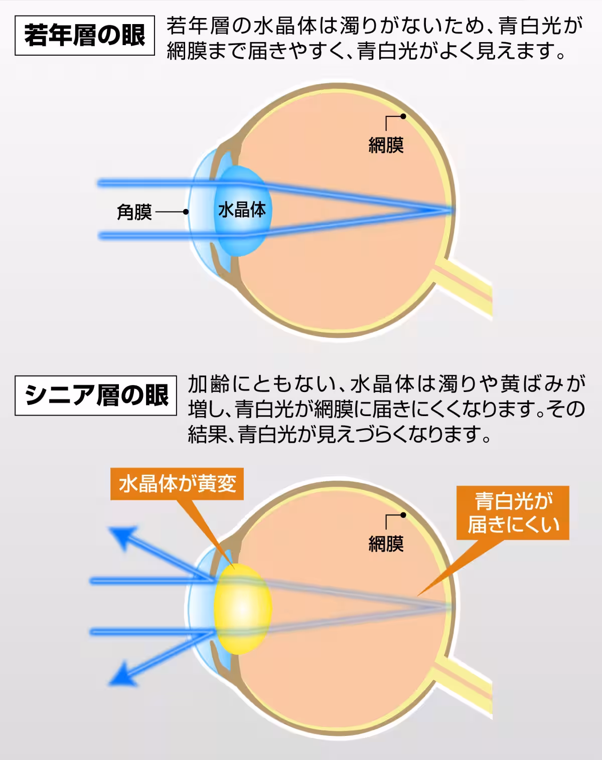 画像21