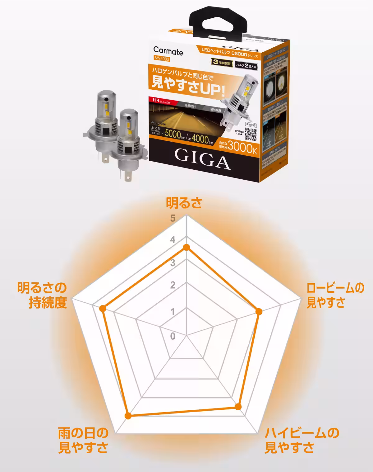 画像12