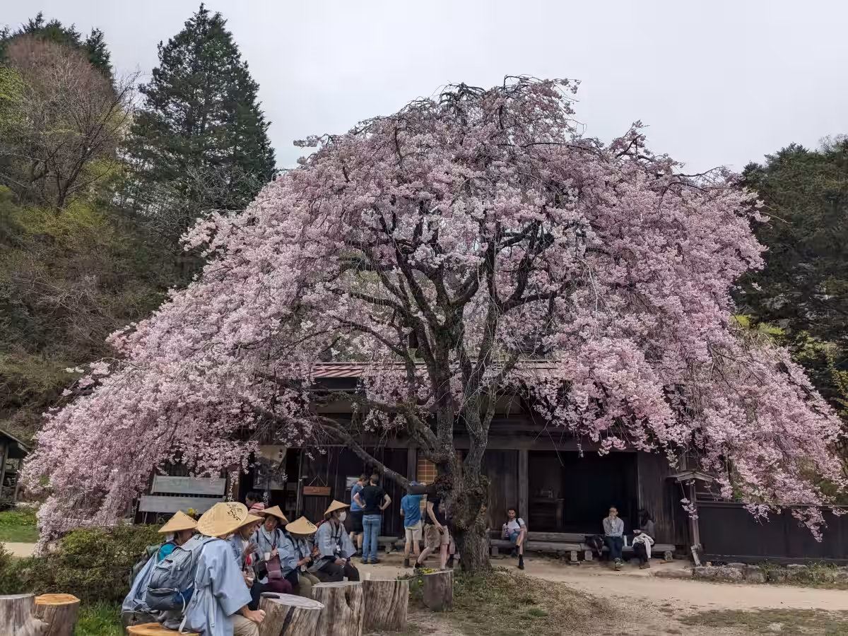 画像6