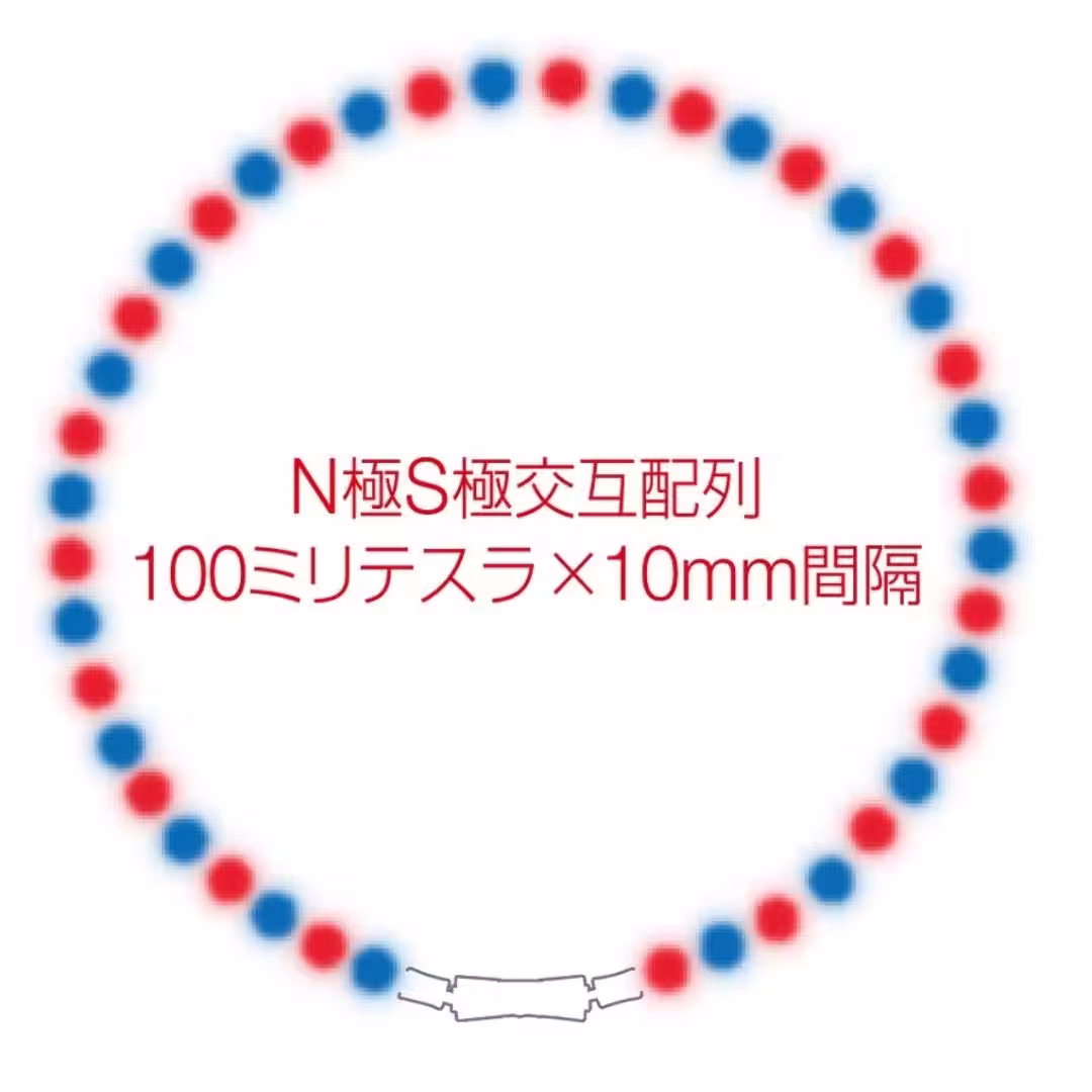 画像12