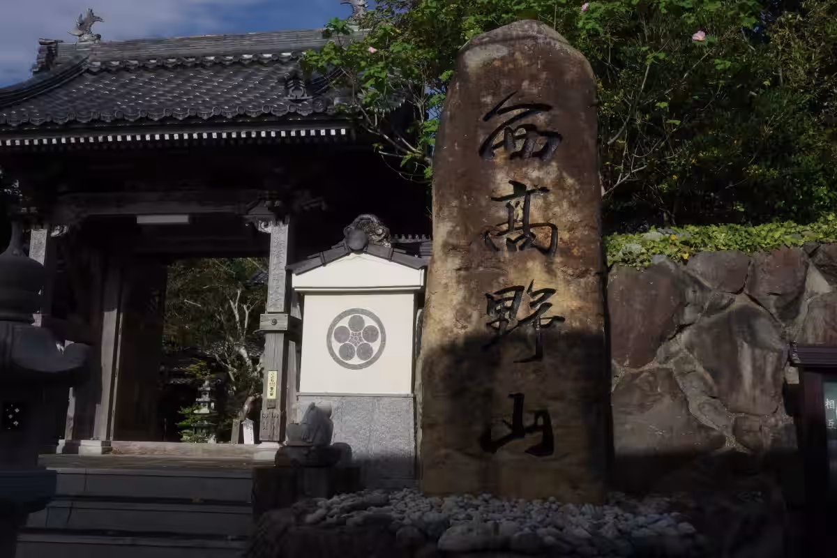 画像9